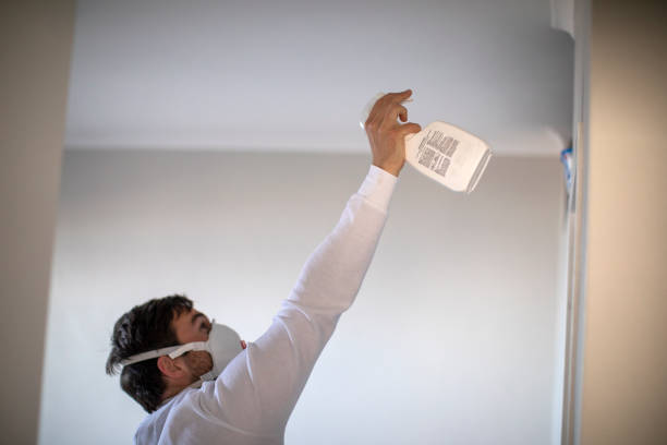 Best Commercial Mold Removal  in Elmo, TX