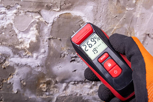 Attic Mold Removal in Elmo, TX
