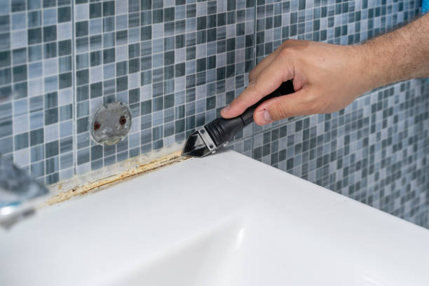 Best Black Mold Removal  in Elmo, TX