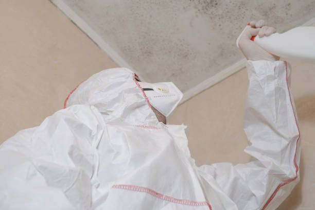 Best Mold Cleaning Services  in Elmo, TX