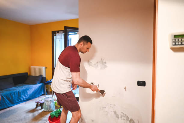 Best Office Mold Removal Services  in Elmo, TX